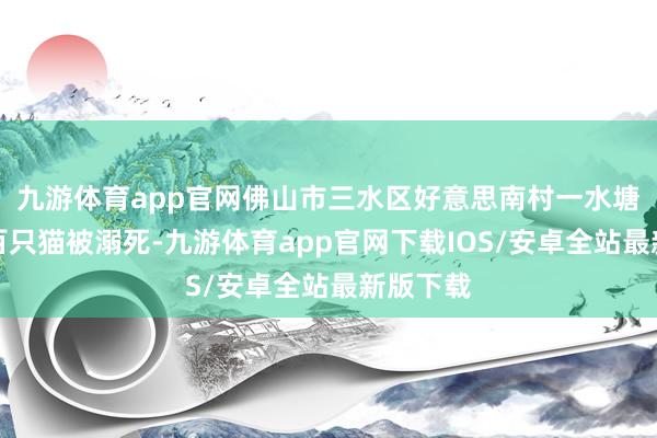 九游体育app官网佛山市三水区好意思南村一水塘内有近百只猫被溺死-九游体育app官网下载IOS/安卓全站最新版下载