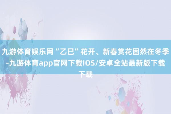 九游体育娱乐网“乙巳”花开、新春赏花固然在冬季-九游体育app官网下载IOS/安卓全站最新版下载